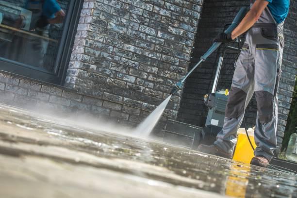 Best Residential Exterior Washing  in Elgin, MN